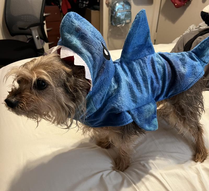 Shark costumes hotsell for dogs