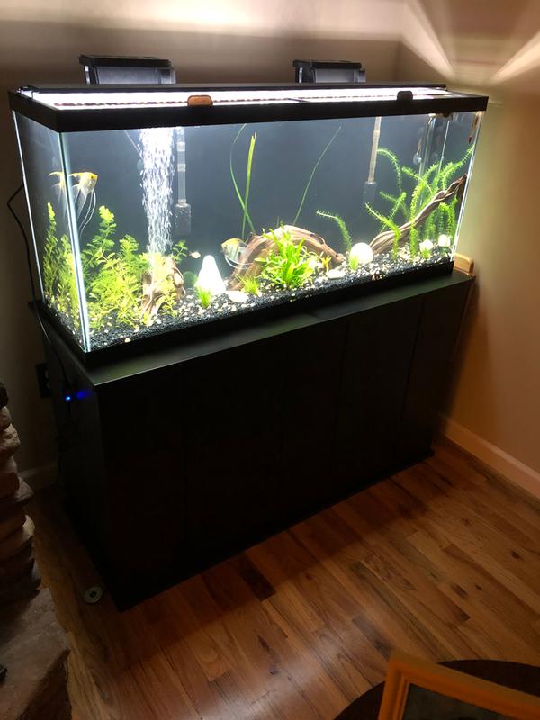 90 gallon aquarium petco