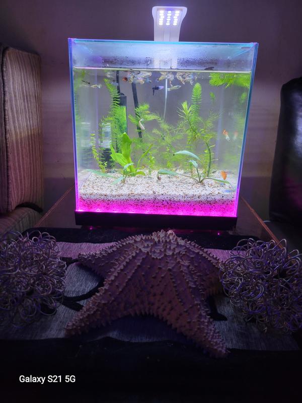 6 gal edgelit exchaned for new one leaked