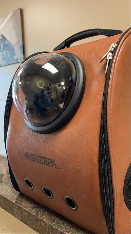 botkier trigger leather convertible backpack Valentina Botkier Convertible Backpack Botkier New York Trigger Mini Convertible  Backpack Womens Black Polyester Lined