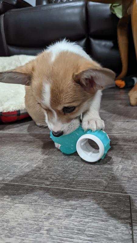 Leaps and Bounds Cactus Teething Toy