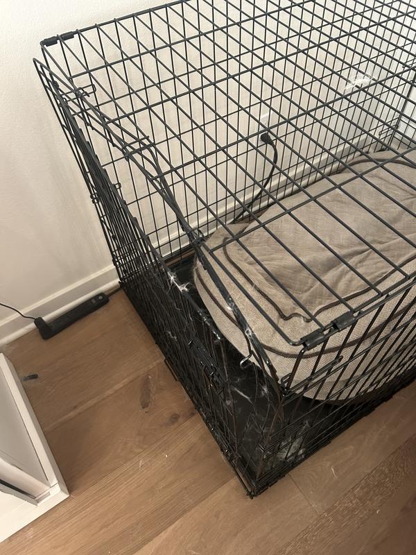 EveryYay Going Places 1-Door Folding Dog Crate, 18" L X 12.5" W X 14.5" H | Petco