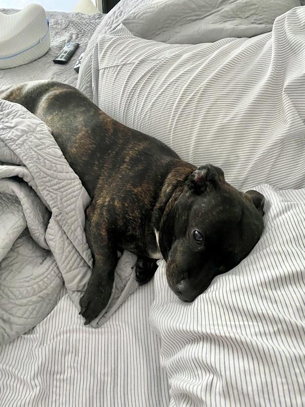 Full tummy, nap time.