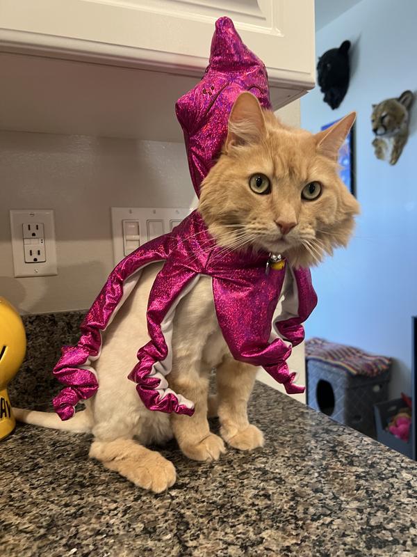 Rufus the Oct-O-Puss