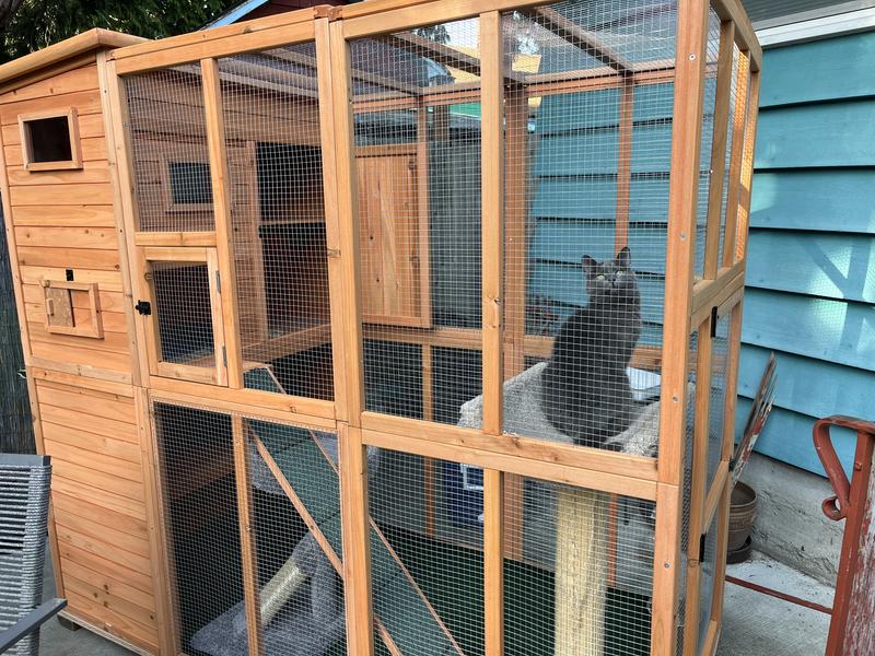 Petco catio top