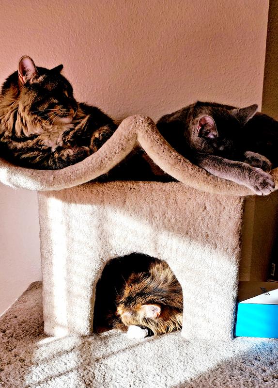 The 3 amigos.