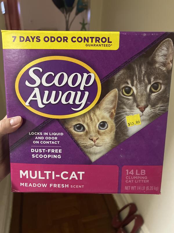 Scoop away cat litter review sale