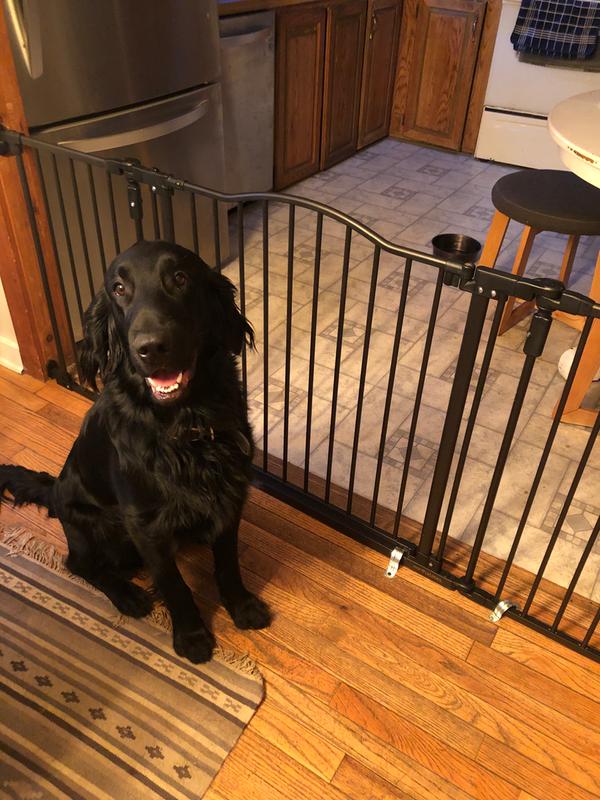 north states windsor arch pet gate