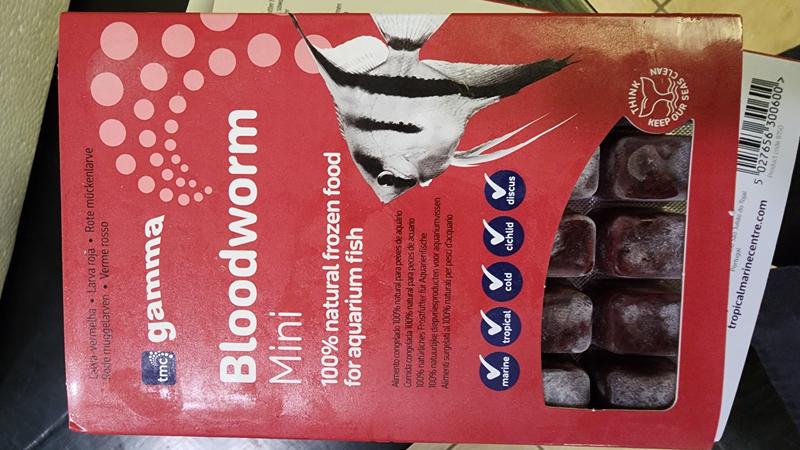 Gamma Frozen Food Mini Bloodworm Blister Pack, 570 GM, 6pk