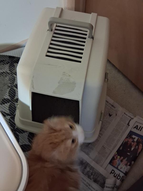 I don't think she notices a difference.