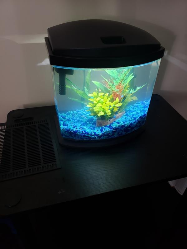 2.5 gallon fish tank petco