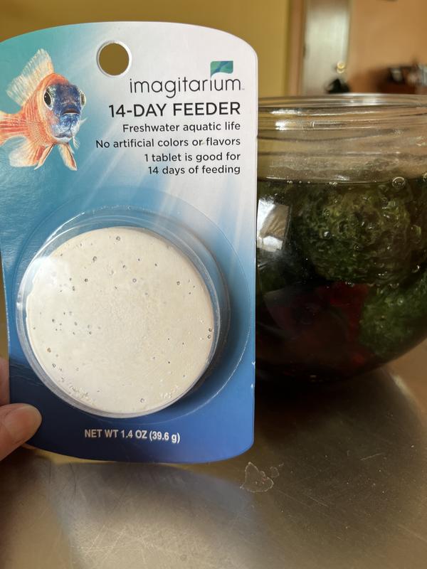 Imagitarium 14-Day Vacation Feeder | Petco