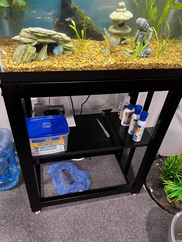 Imagitarium 20 Gallon Brooklyn Metal Stand Petco