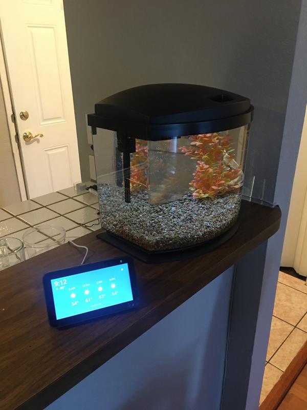  PONDON Aquatic Mastery Combo: 5 Gallon Low Iron Glass Fish  Tank Starter Kit with Temperature Digital Display, No-Installation Betta  Fish Tank in Black, Paired with a 6-in-1 Telescopic Fish Tank