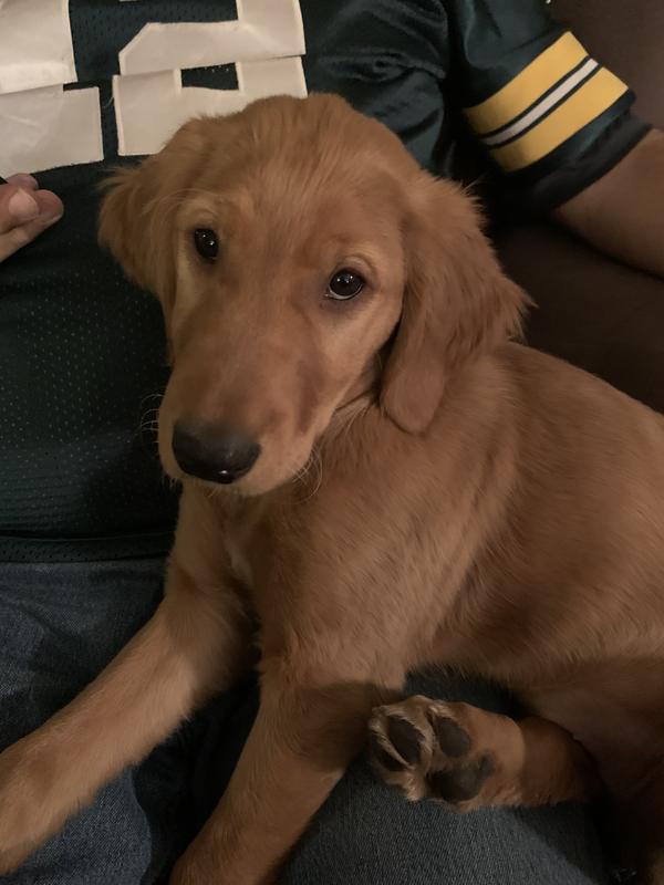 Photo - commentaire 8.