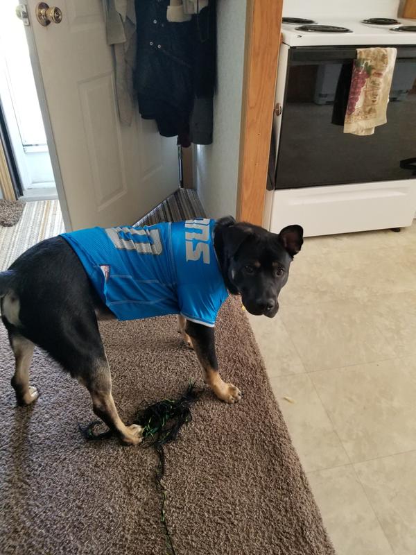 detroit lions dog sweater