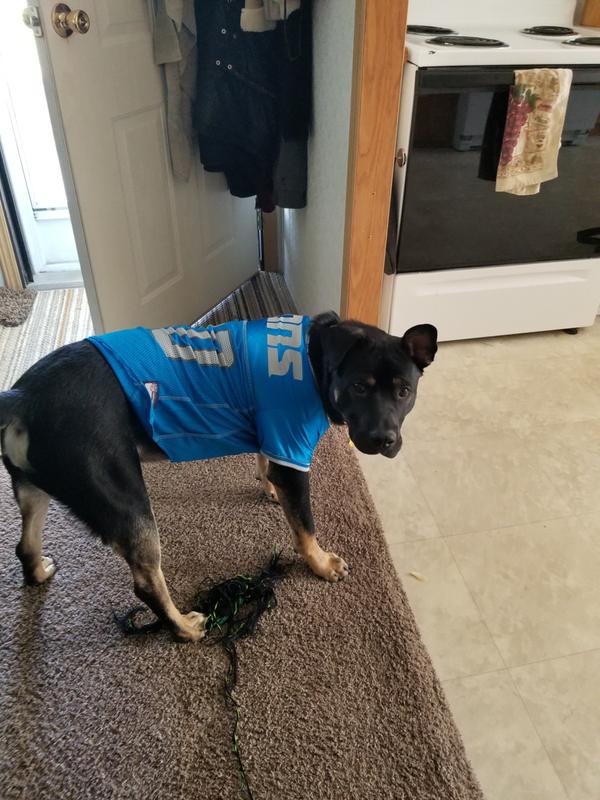 detroit lions dog jersey