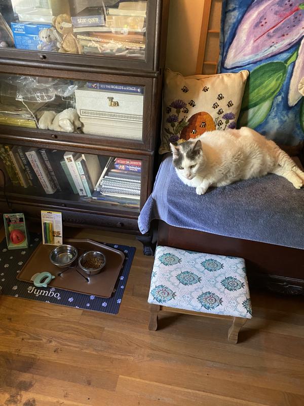 Perfect dish set up.