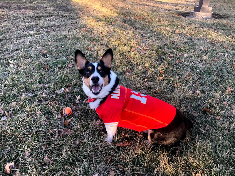 PATRICK MAHOMES #15 Kansas City Chiefs NFLPA Dog Pet Jersey-M