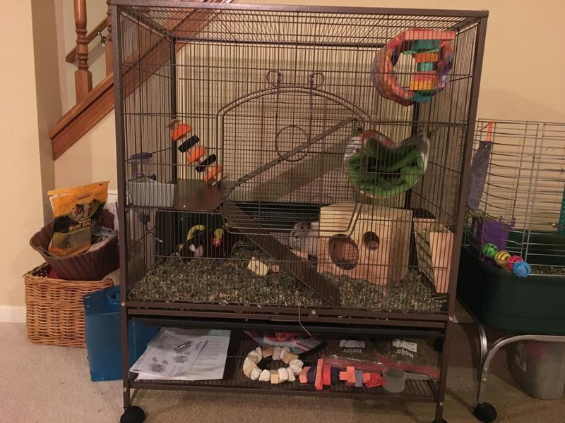 Prevue Pet Products Earthtone Dusted Rose Rat Chinchilla Cage Petco