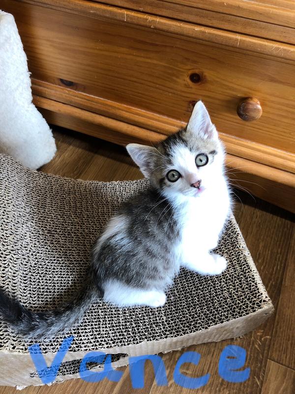 What a difference a month can make