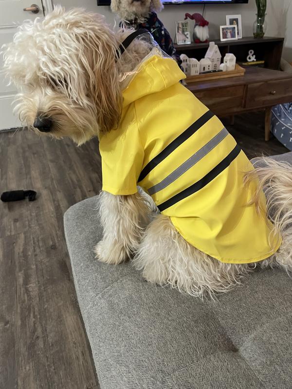 Dog raincoat hot sale petco