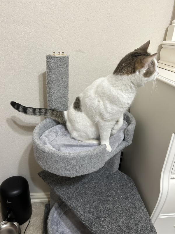 EveryYay Lookout Loft 4-Level Cat Tree Perch with Beds, 43