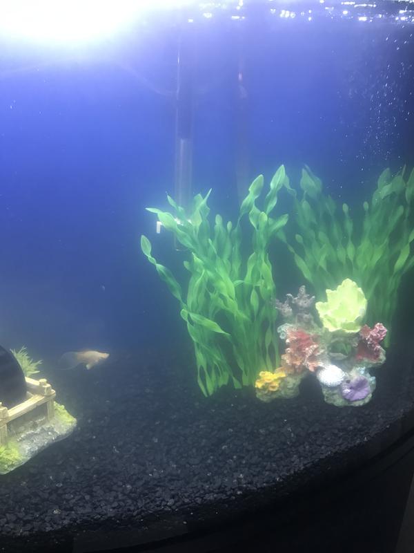 My cloudy water