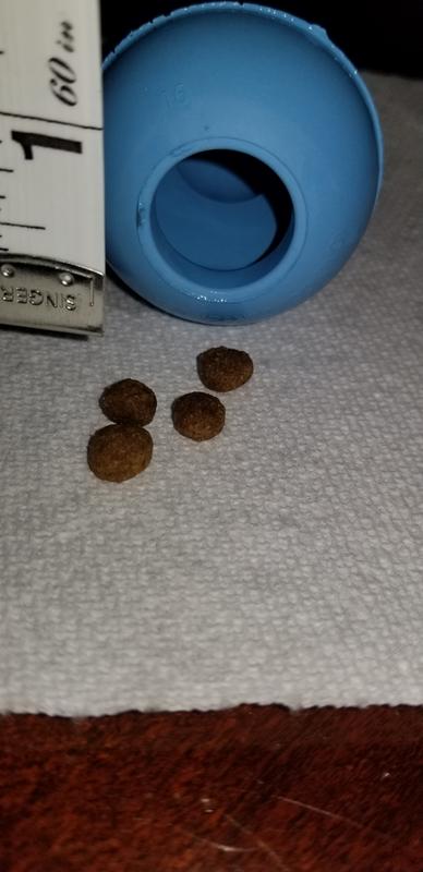 Small breed kibble with opening of Kong