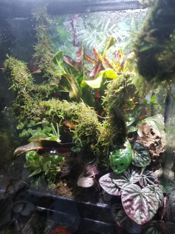 Galapagos Tropical Environment Starter Kit