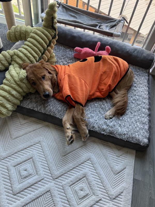 Getting used to his new costume!