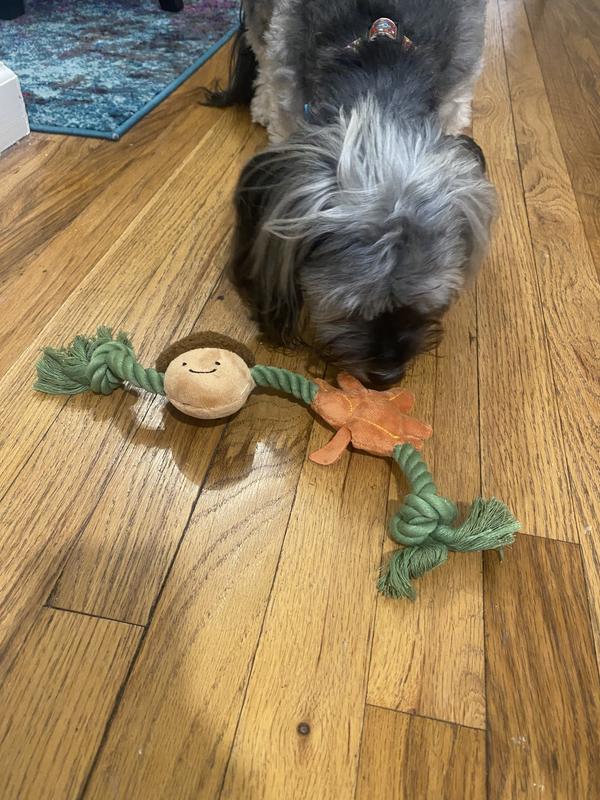 Photo - commentaire 8.