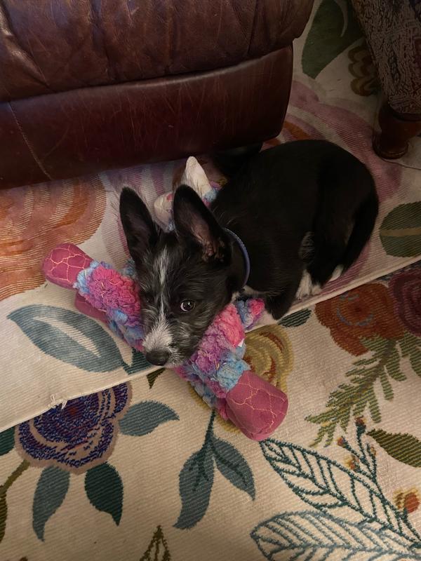 Mine!