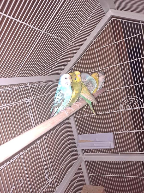 My babys