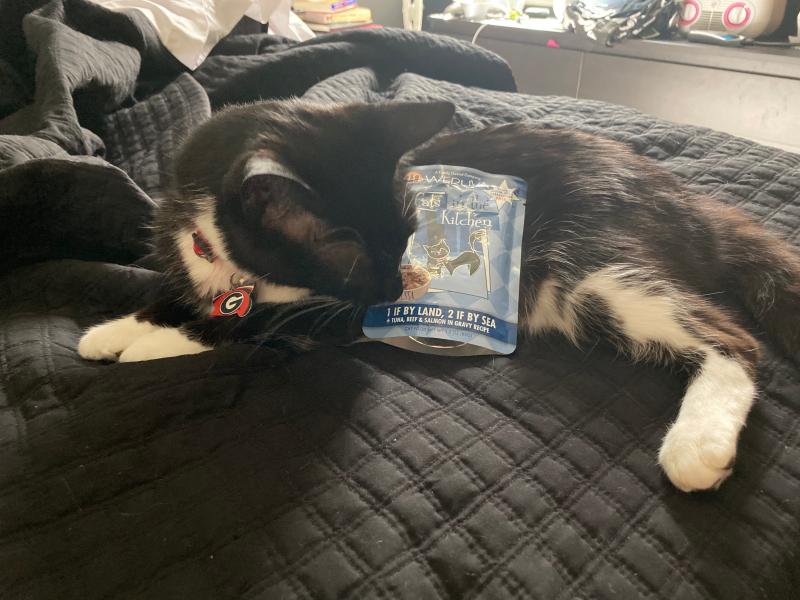 Gamer loves the beef flavor! Ironically it has a black cat on the package.