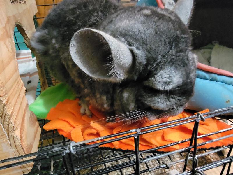 Loving the EveryYay Carrot Mat