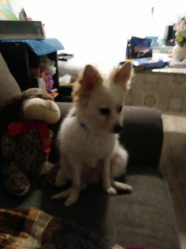 Photo - commentaire 8.