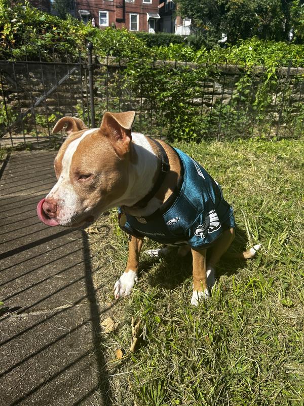 Philadelphia Eagles Pet Jersey – 3 Red Rovers