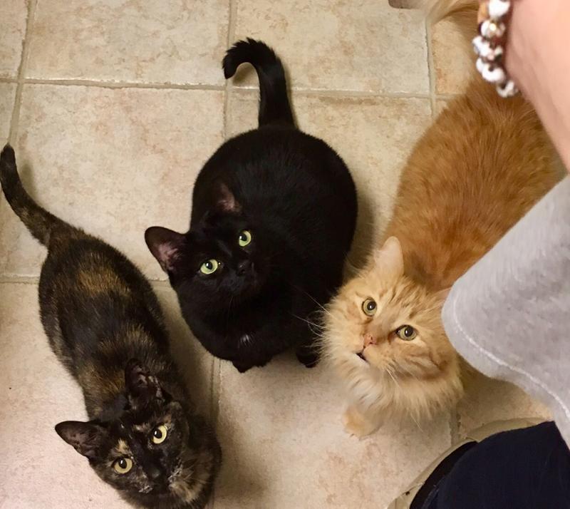 Meal time