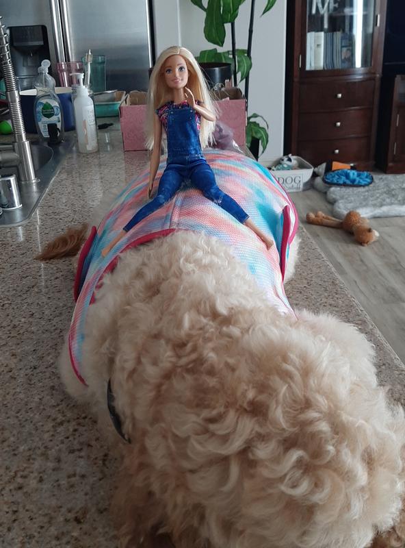 Barbie 1994 Halloween costume