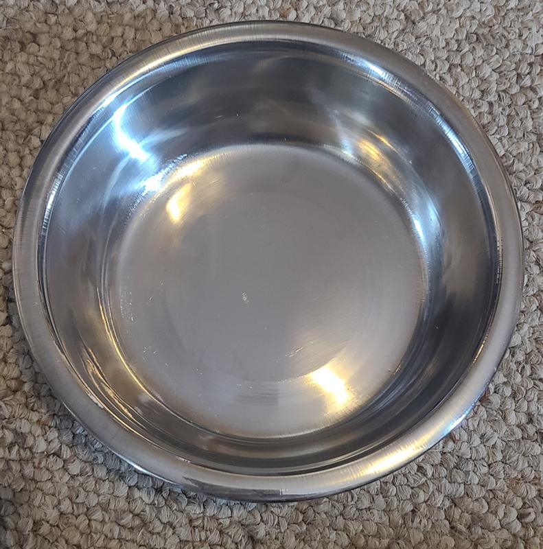 EveryYay Dining In Hammered Black Stainless-Steel Dog Bowl, 1.75 Cups