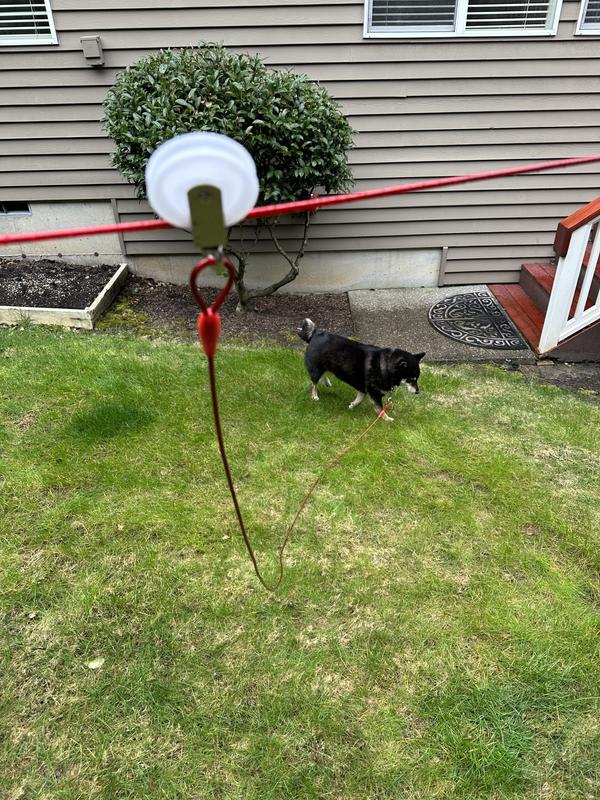 Making a DIY Zip Line for your Dog