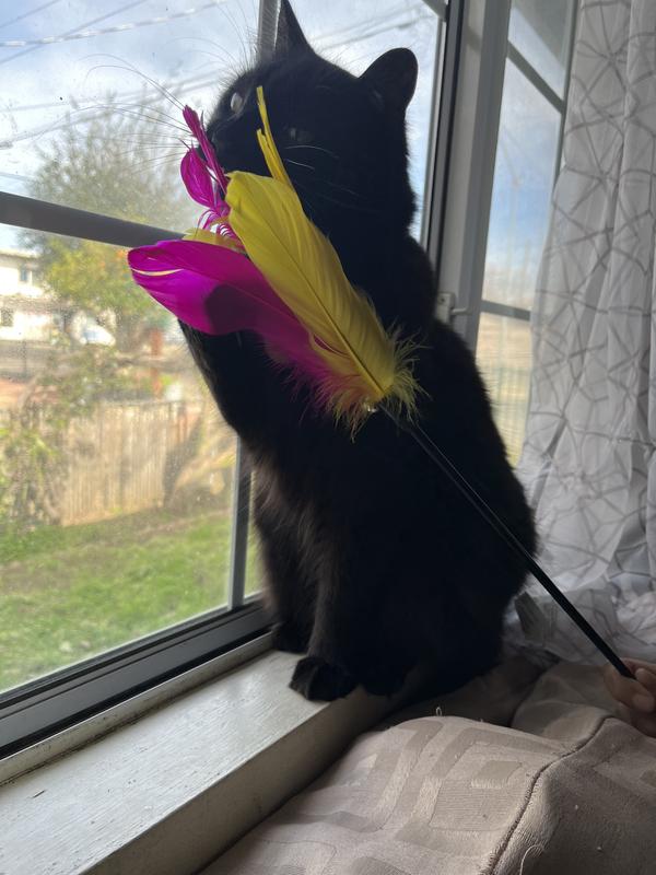 Makes a great chew toy though!
