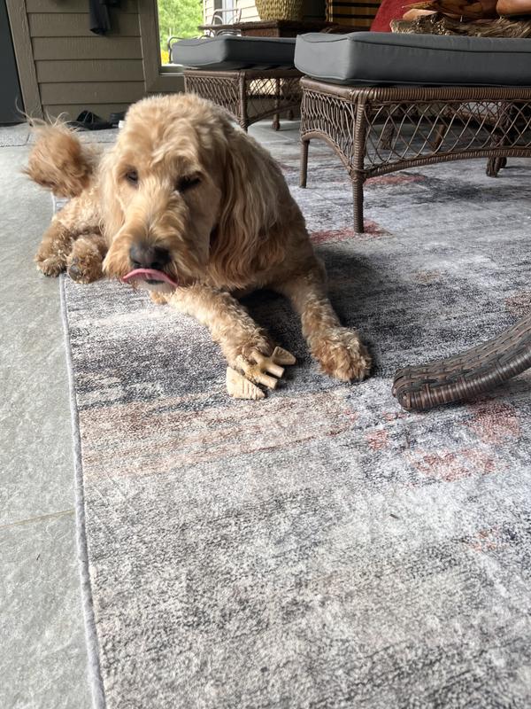 Love licking the delicious flavor