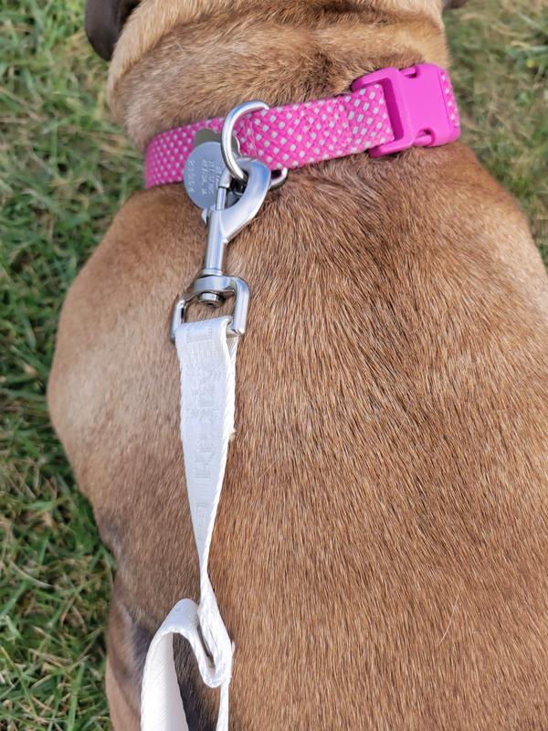Ivory Double Clip Dog Lead