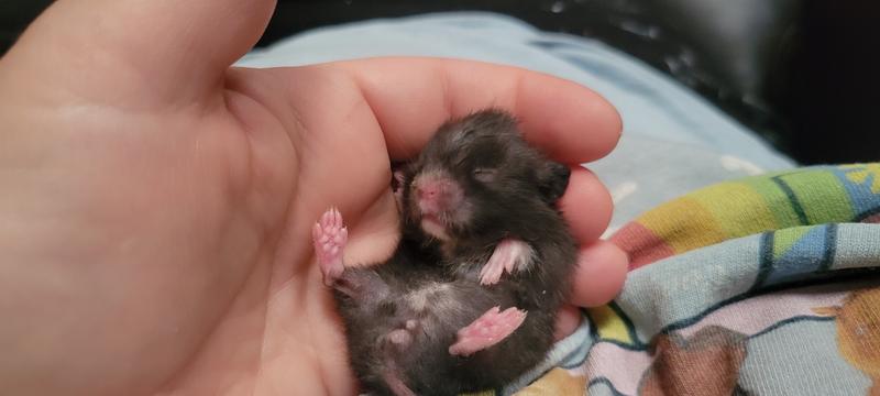 my lil' Buddy :)