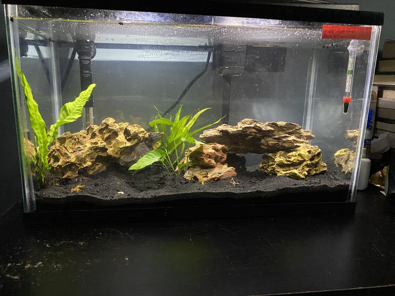 Aqueon QuietFlow LED PRO 10 Aquarium Power Filter