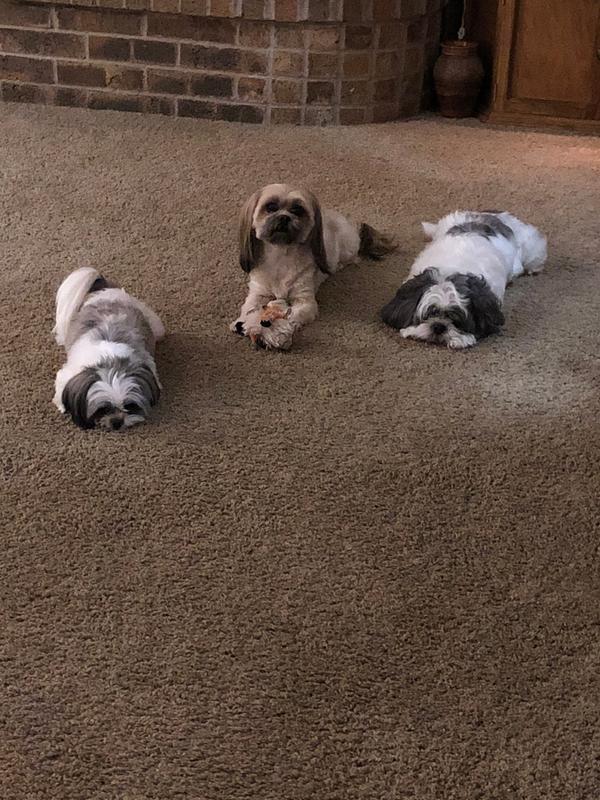 The three musketeers.