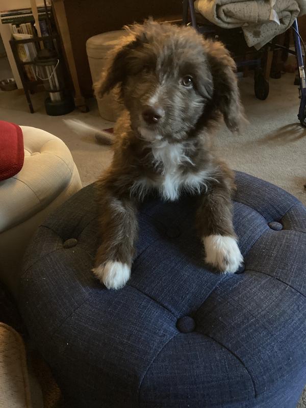 Photo - commentaire 6.