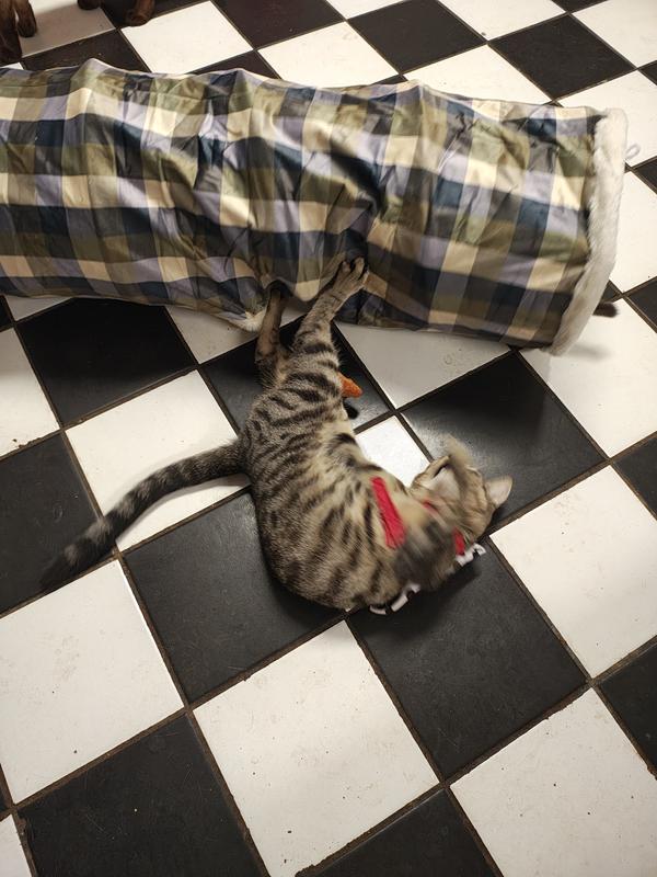 Play, play, play!